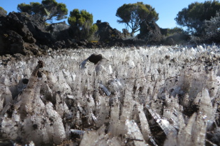 Sculture de glace dû au à l'humidité et au vent